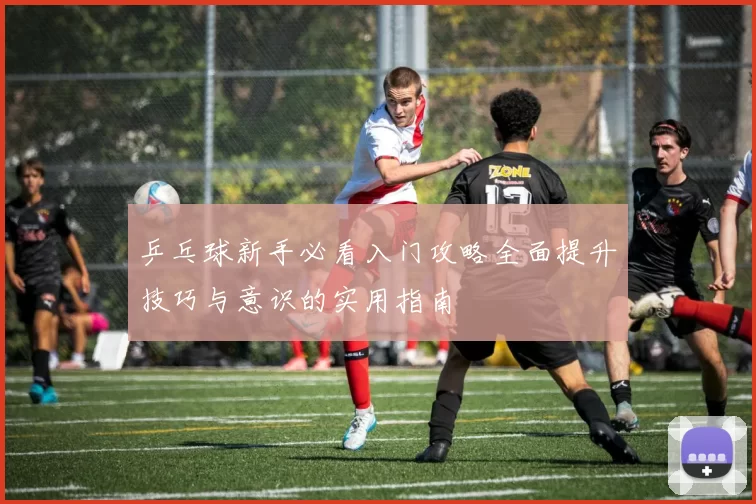 乒乓球新手必看入门攻略全面提升技巧与意识的实用指南