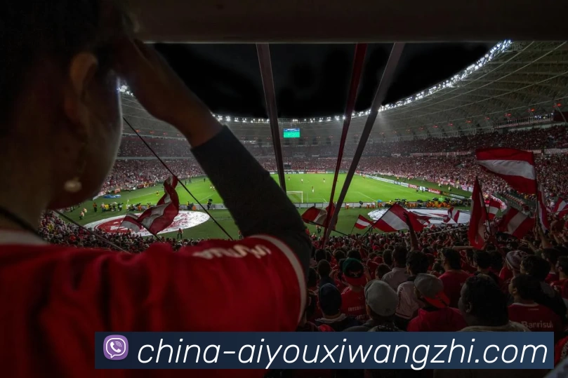 奖项证书
